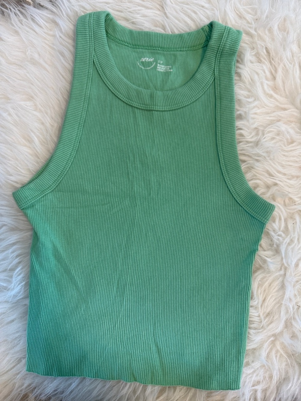 aerie Sleeveless Ribbed Crop Tank in Mint